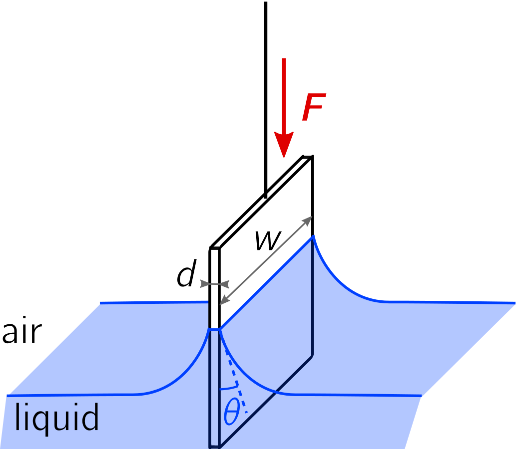 Liquid rising on both sides of rectangular plate with cylindrical meniscus extending across the length of the plate
